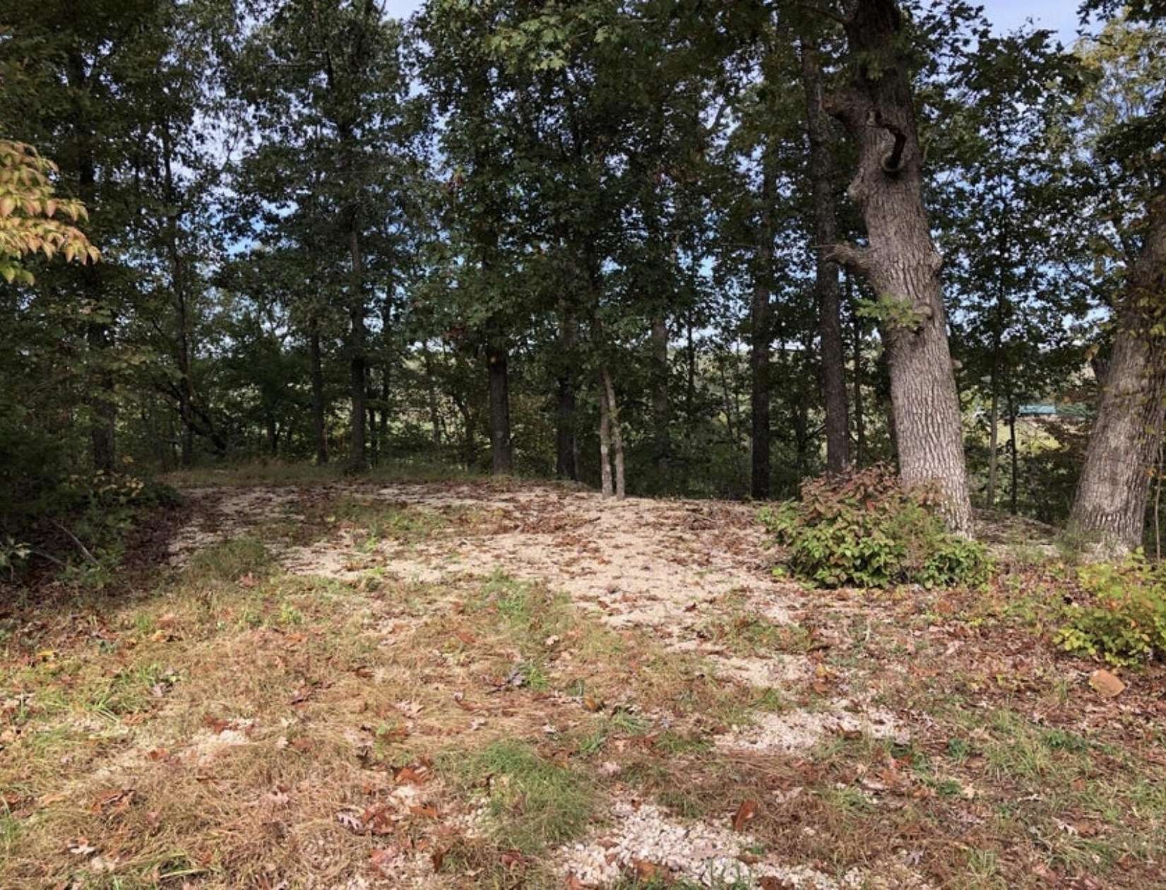 62 Acres of Recreational & Residential Land for Sale in Windyville, Missouri