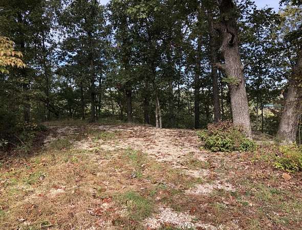62 Acres of Recreational & Residential Land for Sale in Windyville, Missouri