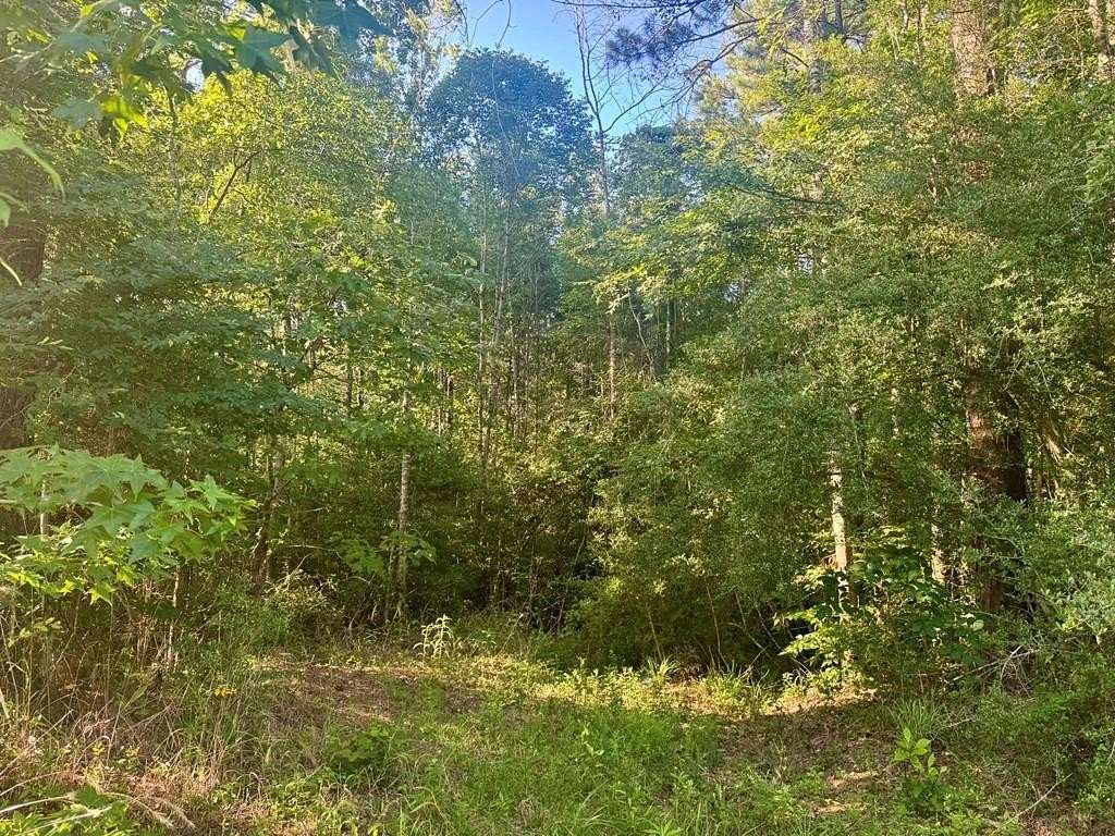 5 Acres of Residential Land for Sale in Burkeville, Texas