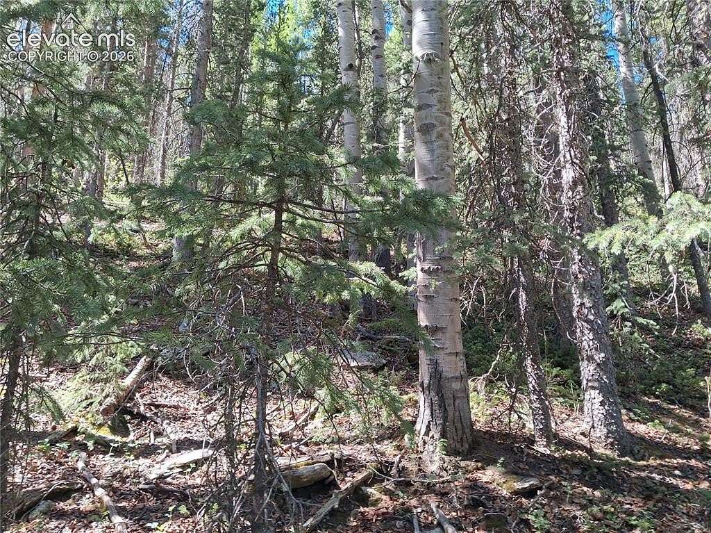 1.9 Acres of Land for Sale in Cripple Creek, Colorado