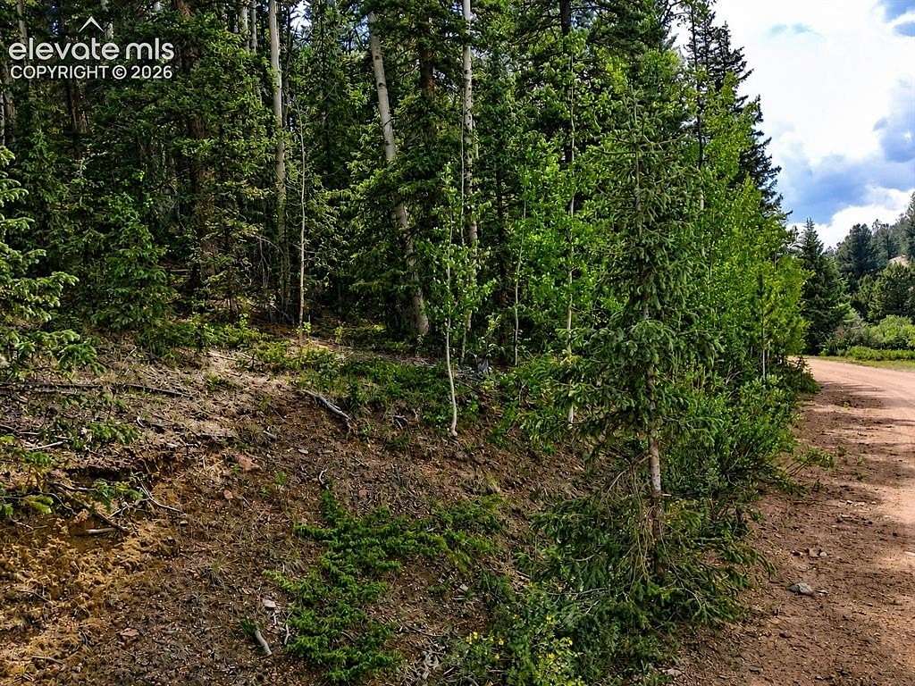 1.9 Acres of Land for Sale in Cripple Creek, Colorado