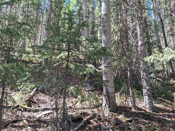 1.9 Acres of Land for Sale in Cripple Creek, Colorado