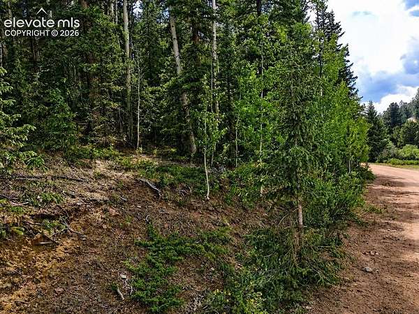 1.9 Acres of Land for Sale in Cripple Creek, Colorado