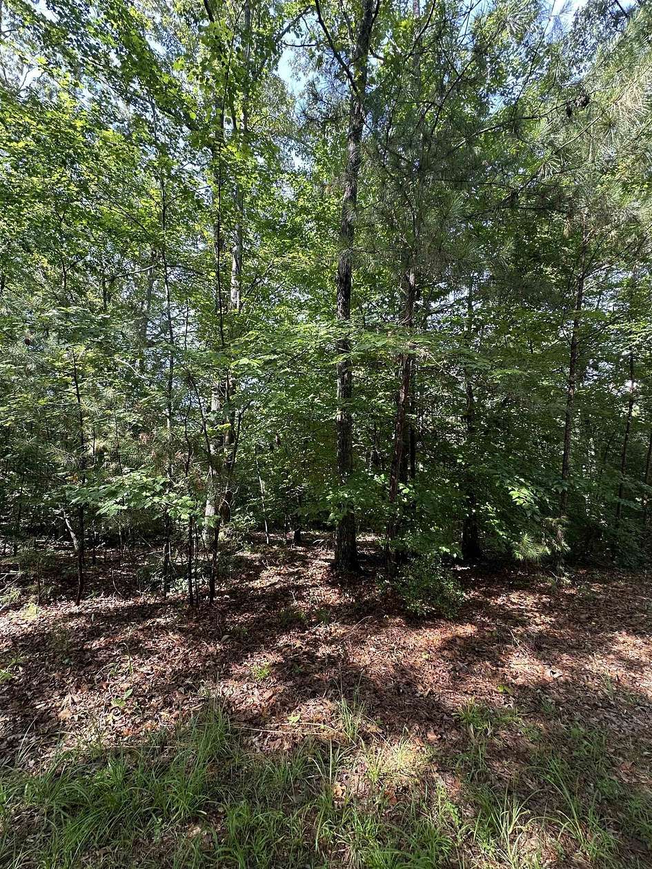 11 Acres of Recreational Land for Sale in Union, South Carolina