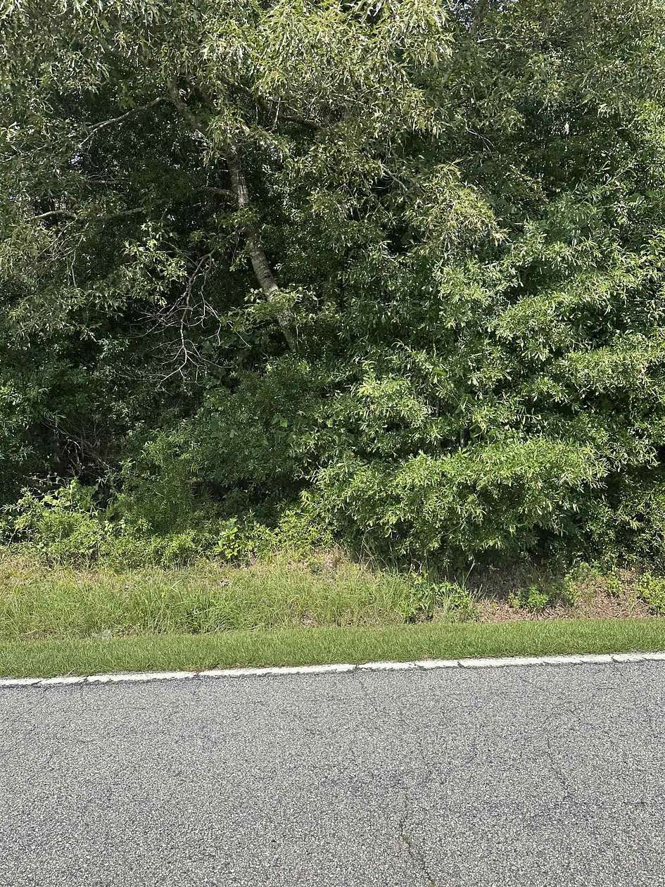 11 Acres of Recreational Land for Sale in Union, South Carolina