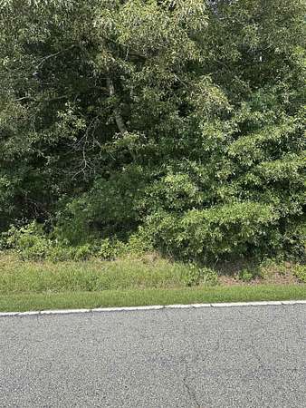 11 Acres of Recreational Land for Sale in Union, South Carolina