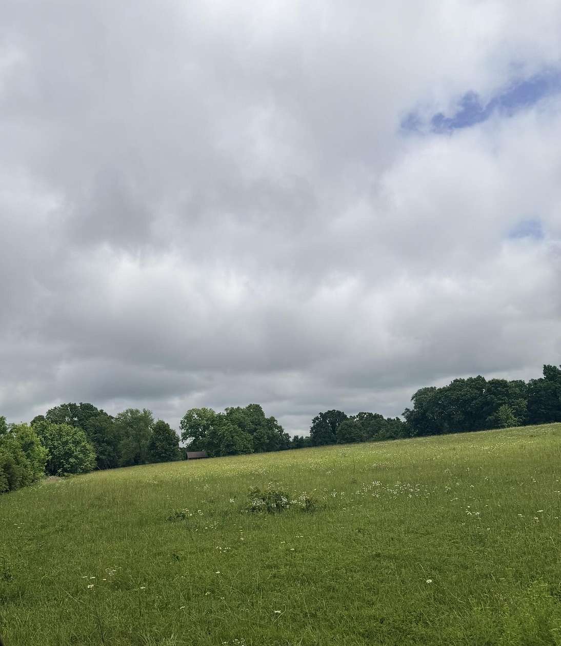 17.5 Acres of Land for Sale in Bruner, Missouri