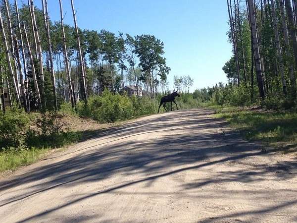 2 Acres of Residential Land for Sale in Fairbanks, Alaska