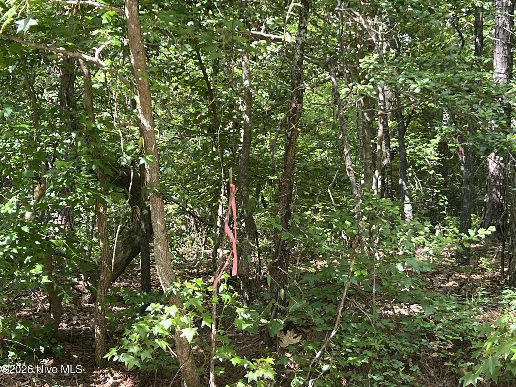0.55 Acres of Residential Land for Sale in Vass, North Carolina