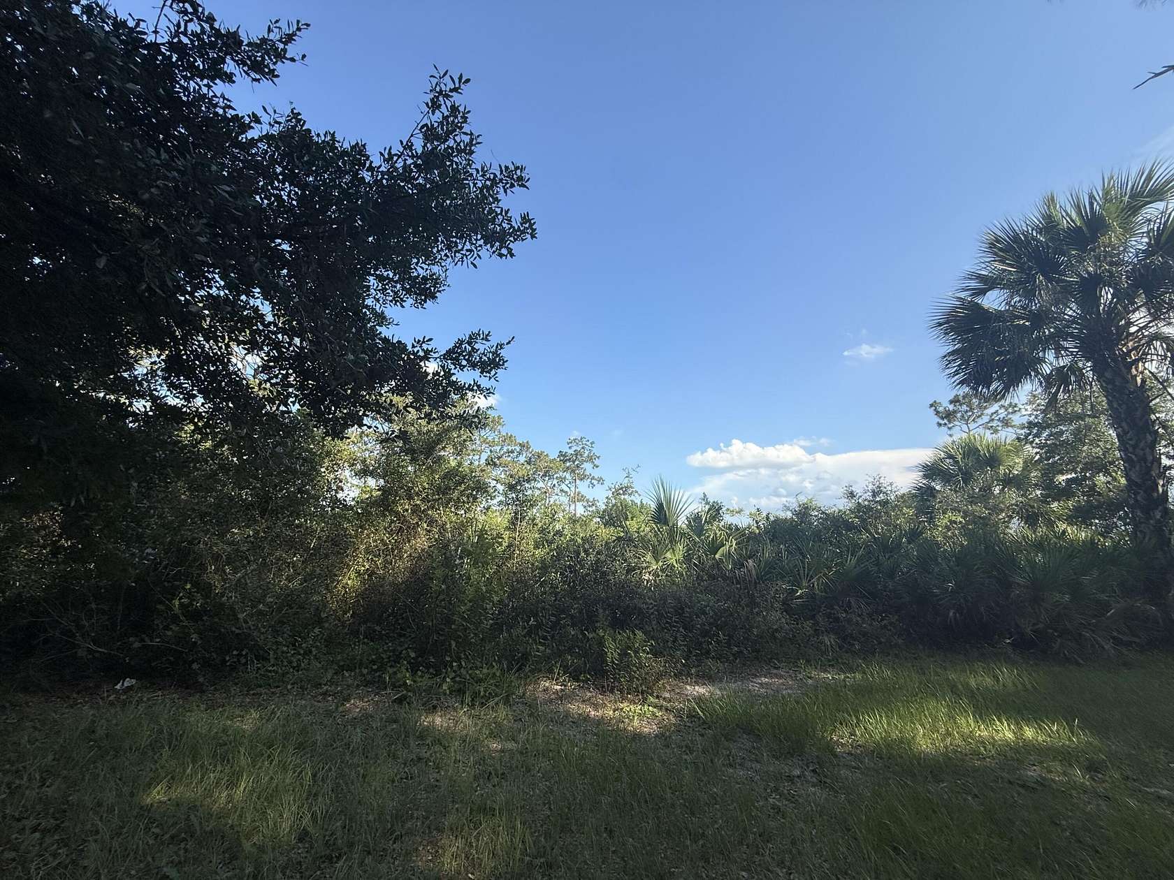 2 Acres of Residential Land for Sale in Okeechobee, Florida
