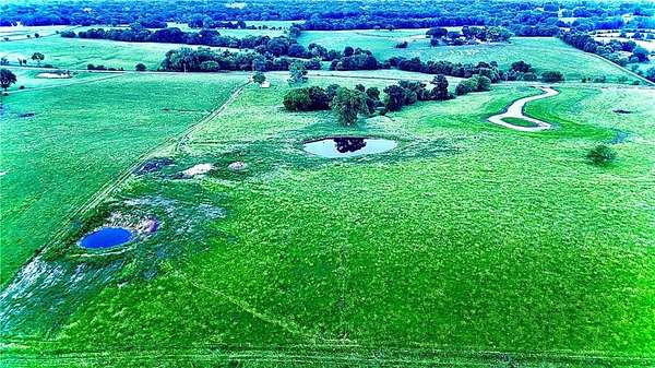 20 Acres of Land for Sale in Holt, Missouri