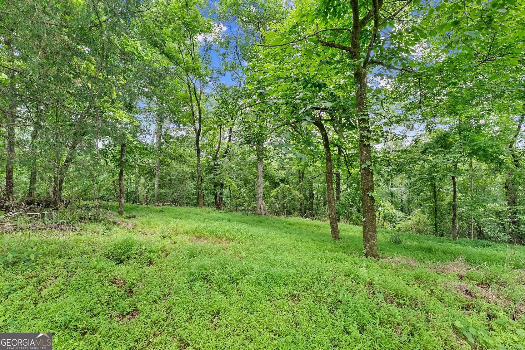 5.56 Acres of Land for Sale in Demorest, Georgia
