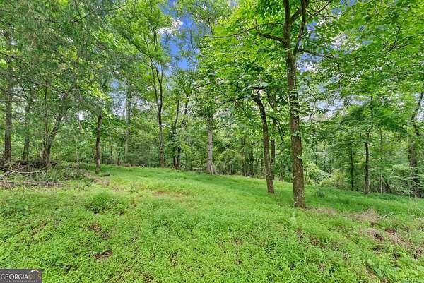 5.56 Acres of Land for Sale in Demorest, Georgia