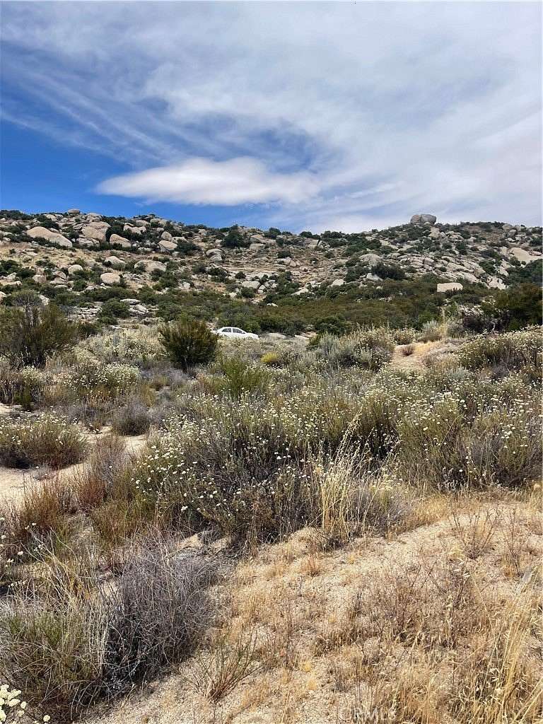 24 Acres of Land for Sale in Pine Valley, California