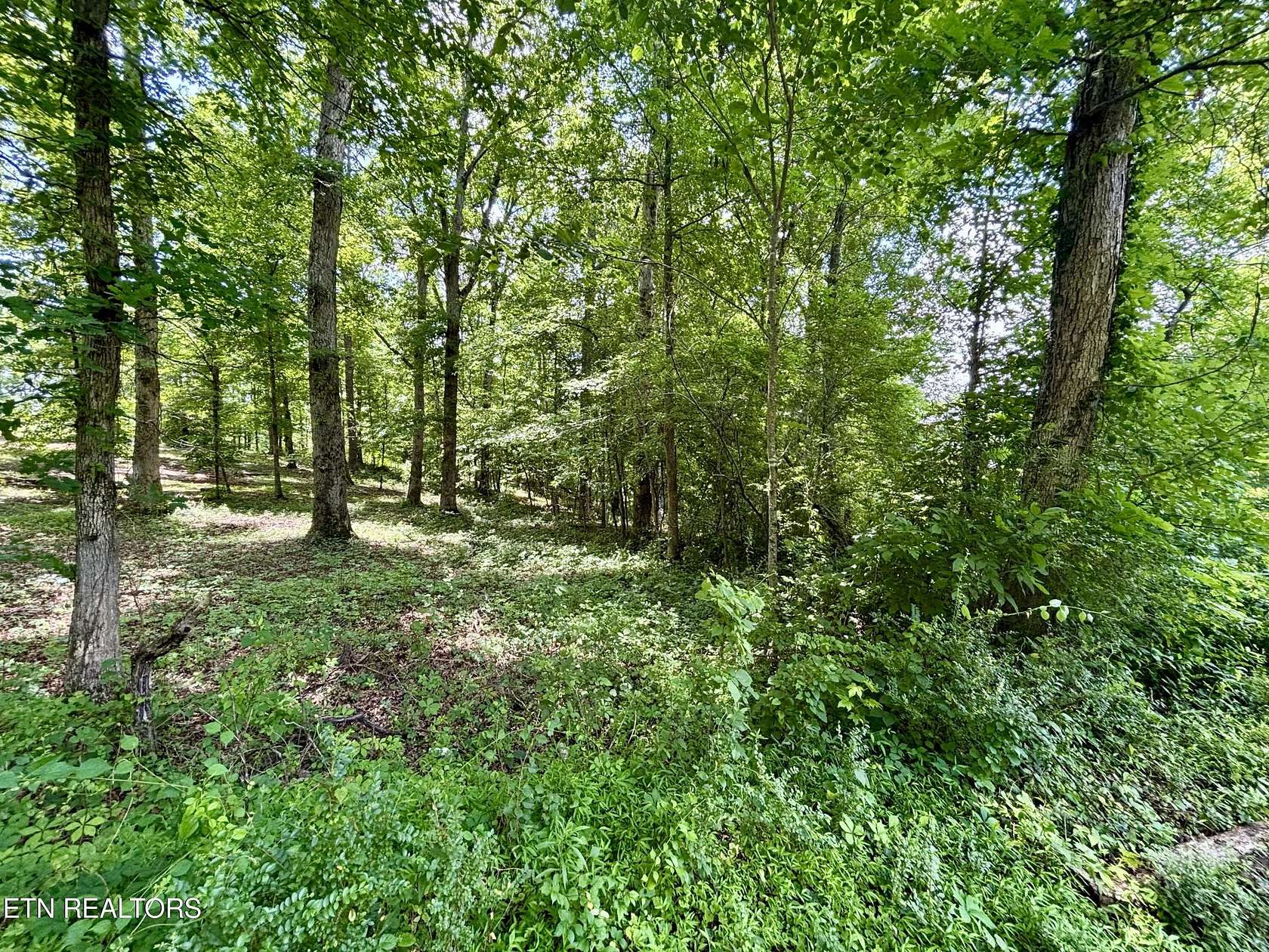 0.46 Acres of Residential Land for Sale in Rockwood, Tennessee