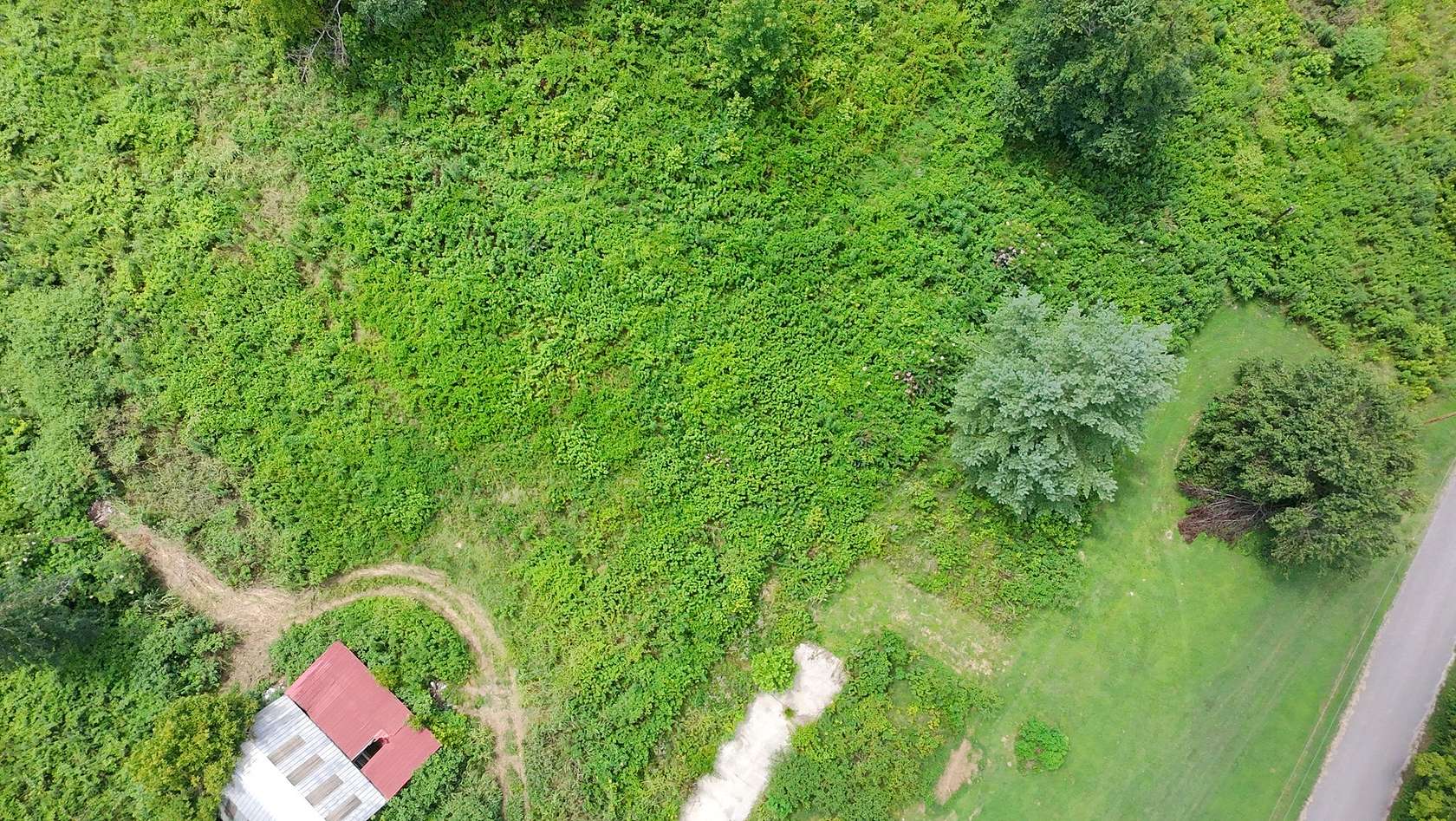 18.5 Acres of Land for Sale in Pulaski, Tennessee