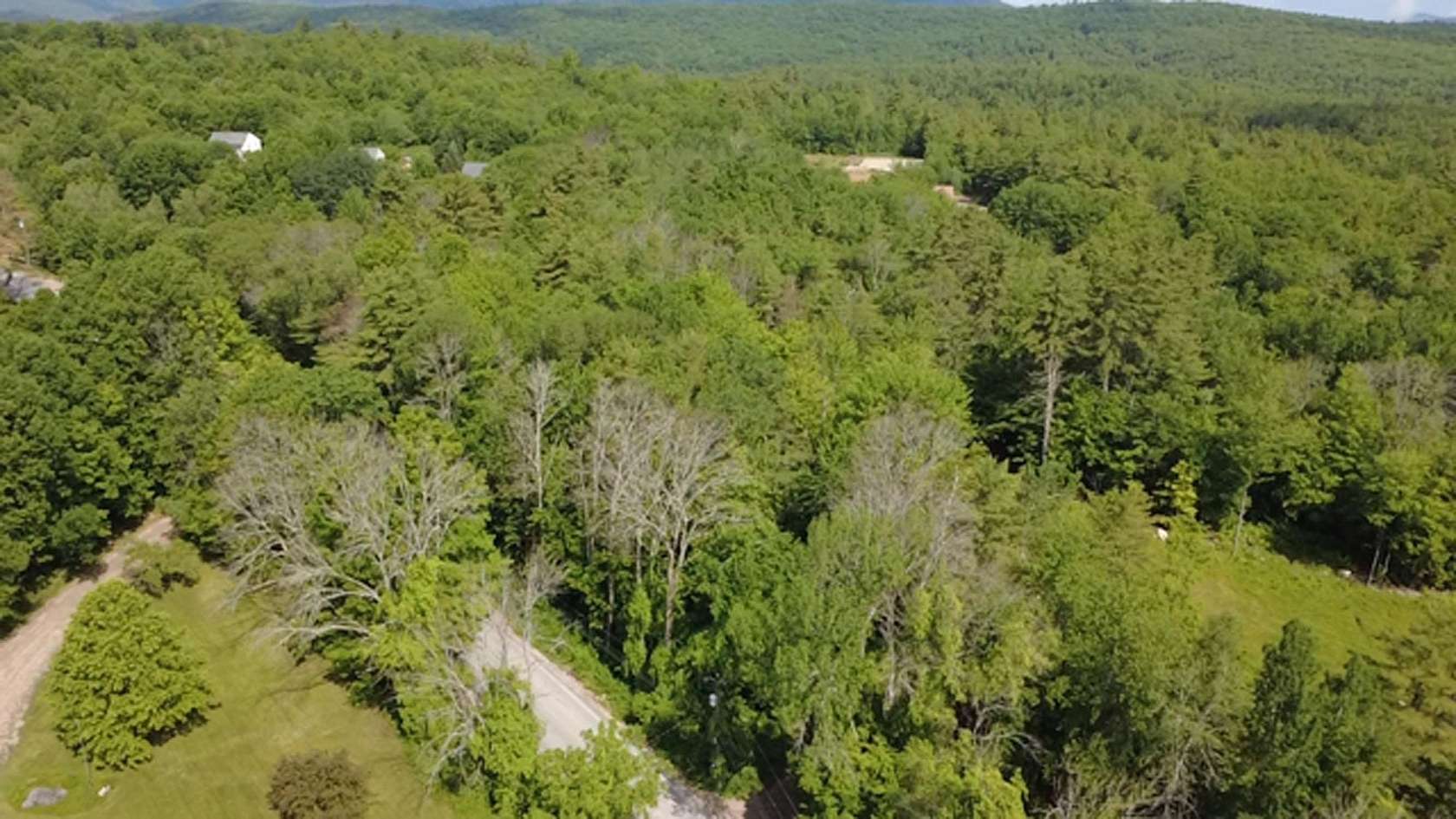 2.5 Acres of Residential Land for Sale in Ossipee, New Hampshire