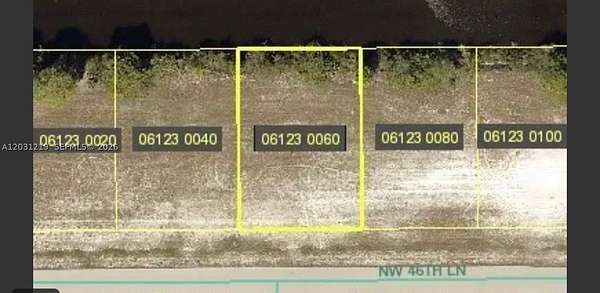 0.24 Acres of Residential Land for Sale in Cape Coral, Florida