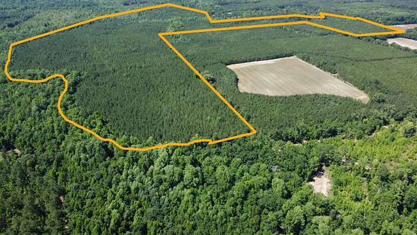 137 Acres of Recreational Land for Sale in Williston, South Carolina
