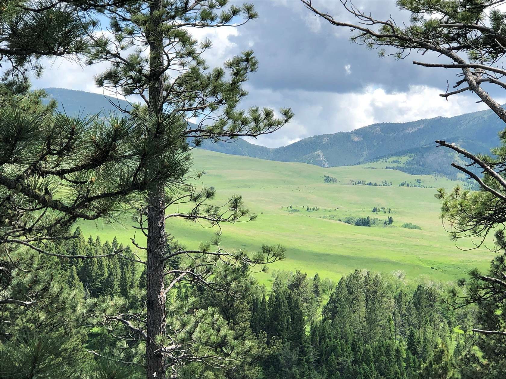 10.9 Acres of Recreational Land for Sale in Raynesford, Montana
