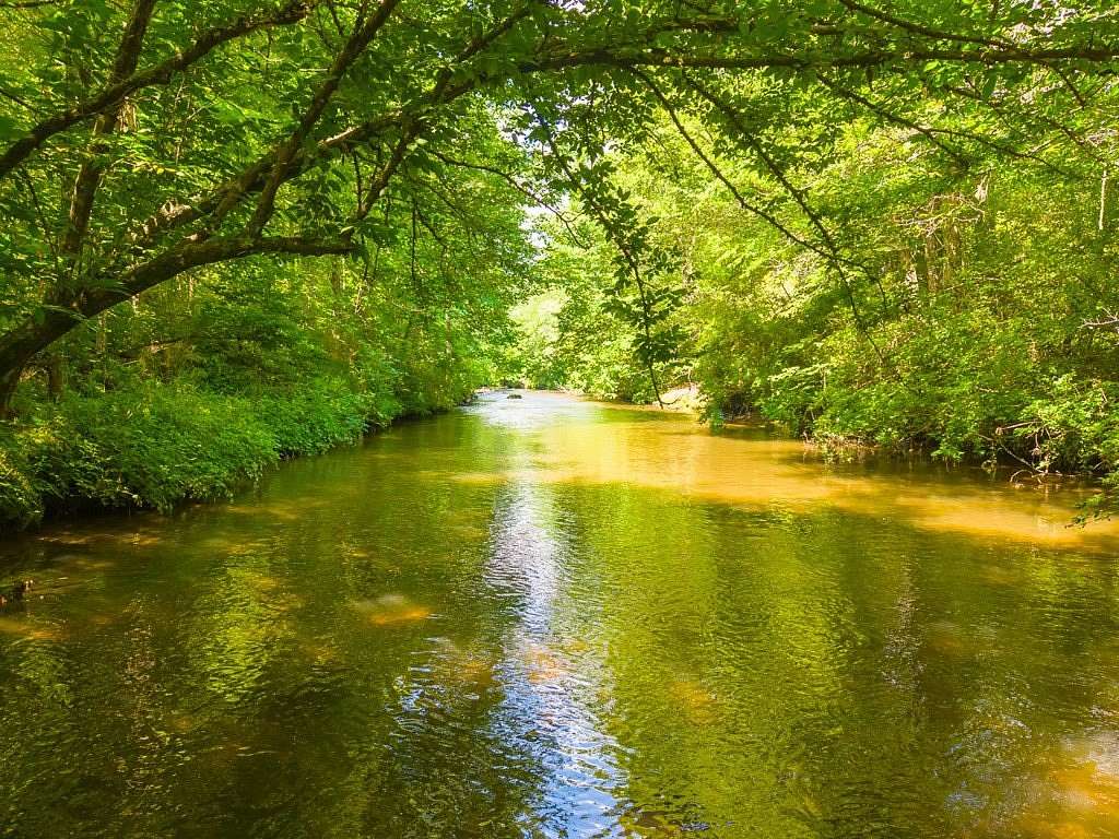 2 Acres of Land with Home for Sale in Franklin, North Carolina
