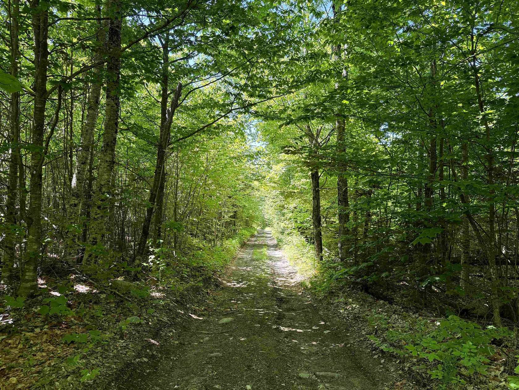 27.4 Acres of Recreational & Residential Land for Sale in East Haven, Vermont