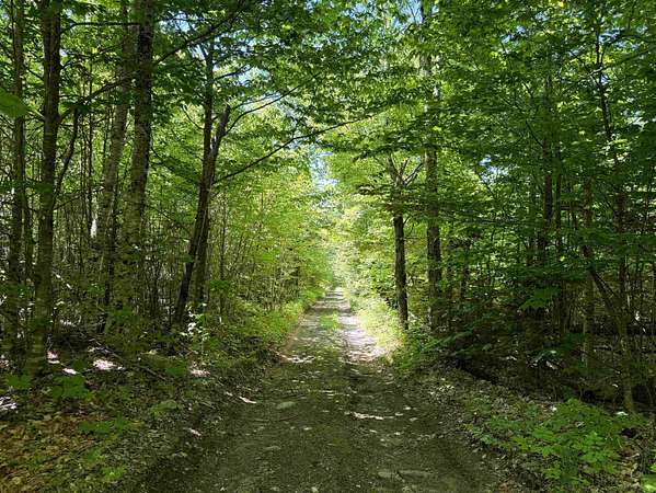 27.4 Acres of Recreational & Residential Land for Sale in East Haven, Vermont
