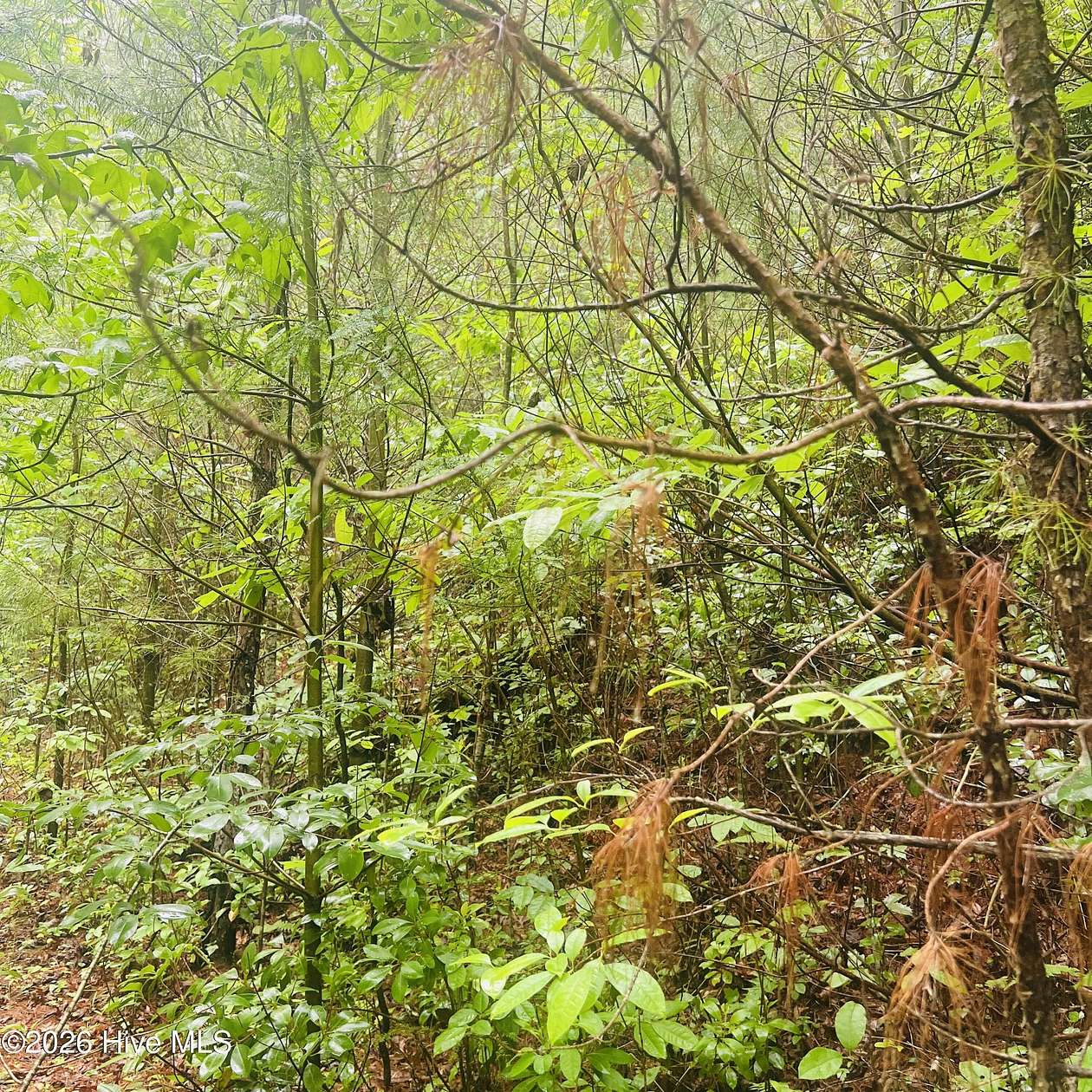 1 Acre of Land for Sale in Murphy, North Carolina
