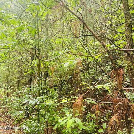 1 Acre of Land for Sale in Murphy, North Carolina
