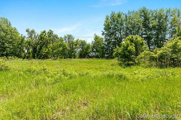 20 Acres of Agricultural Land for Sale in Portland, Michigan