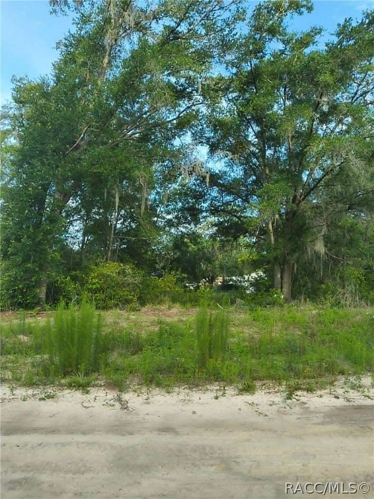 0.31 Acres of Residential Land for Sale in Inverness, Florida