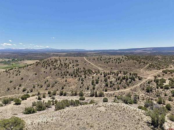 132 Acres of Recreational & Residential Land for Sale in Nucla, Colorado