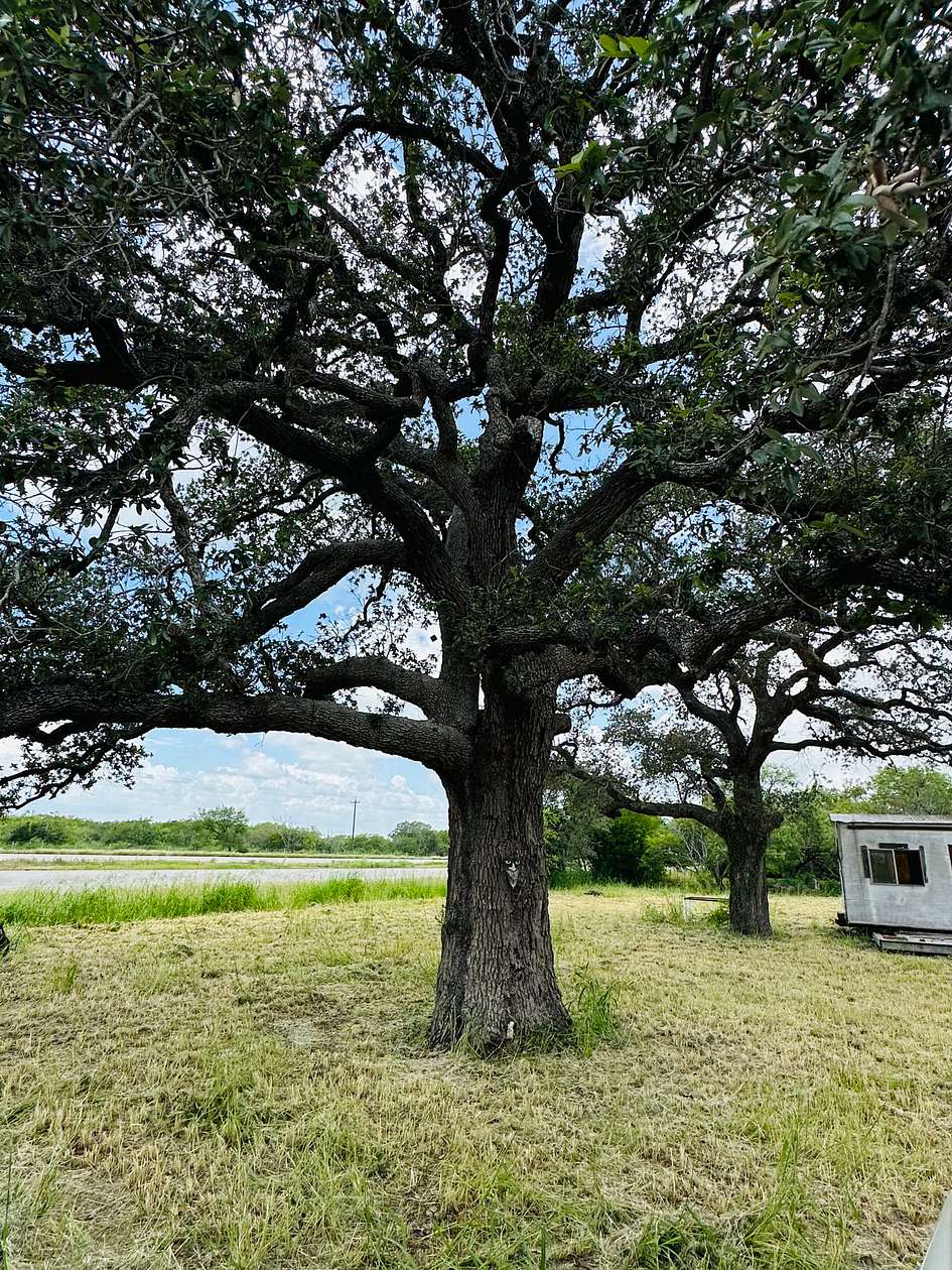 2.17 Acres of Residential Land for Sale in Skidmore, Texas