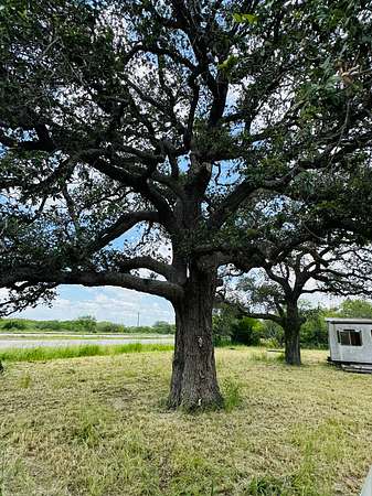 2.17 Acres of Residential Land for Sale in Skidmore, Texas