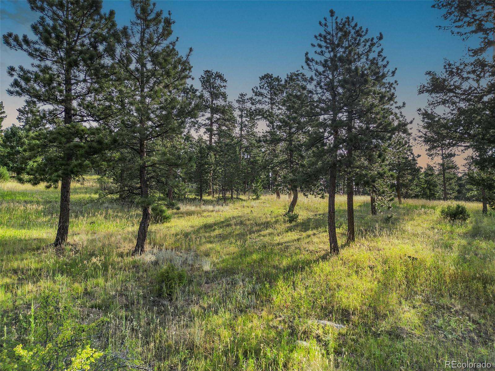 35 Acres of Land for Sale in Conifer, Colorado