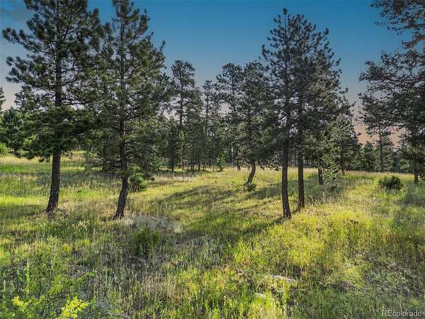 35 Acres of Land for Sale in Conifer, Colorado
