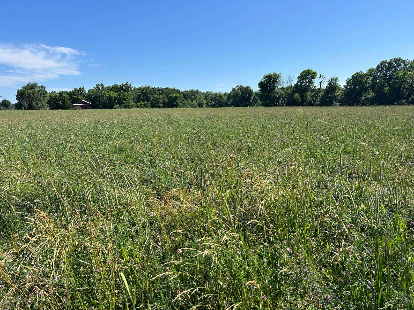 2.46 Acres of Residential Land for Sale in Rushville, Illinois