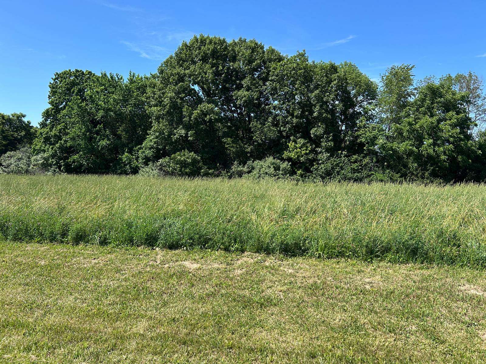 1.25 Acres of Residential Land for Sale in Rushville, Illinois