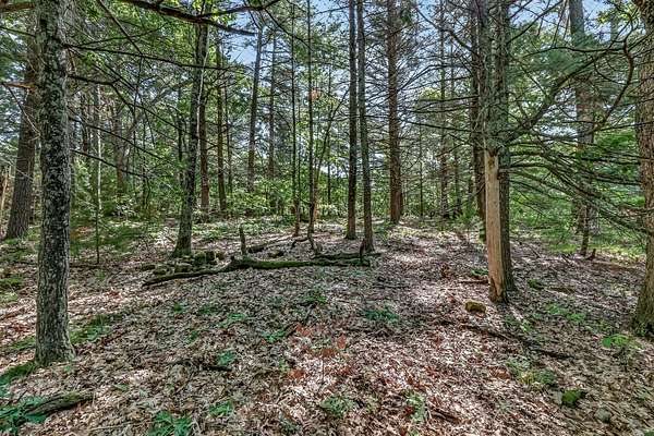0.54 Acres of Residential Land for Sale in Twin Lake, Michigan