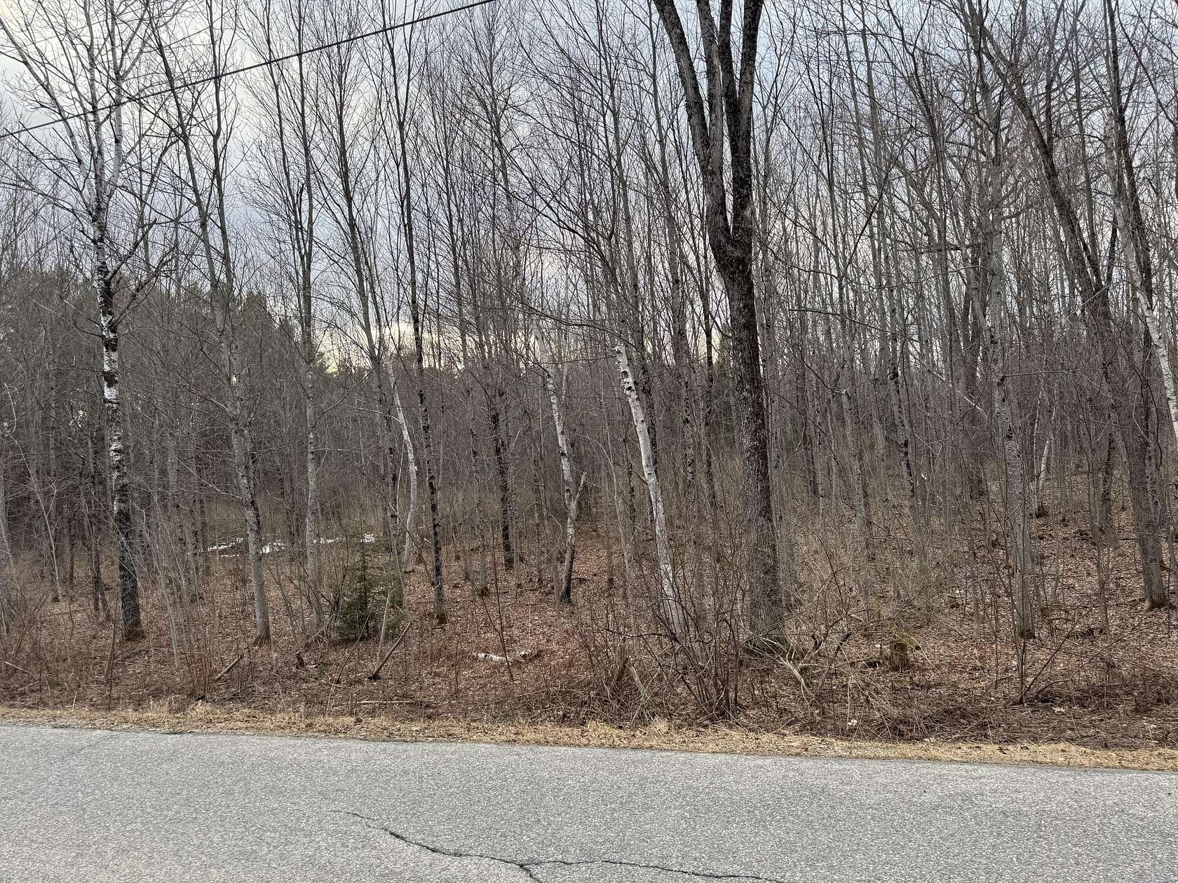 21.6 Acres of Recreational & Residential Land for Sale in China, Maine