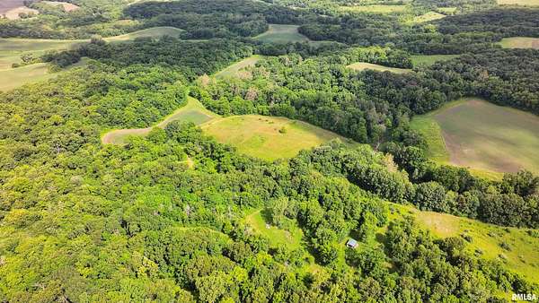 48 Acres of Land for Sale in Chillicothe, Illinois