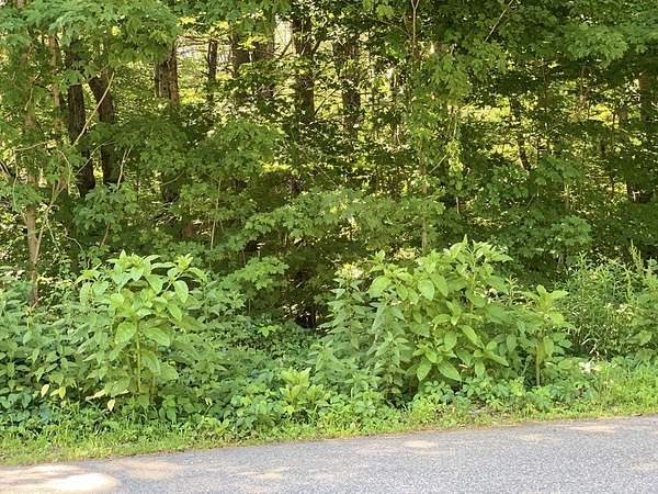 1 Acre of Residential Land for Sale in Warren, Massachusetts