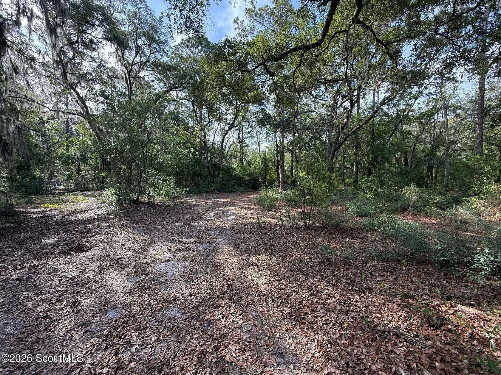 3 Acres of Land for Sale in Waynesville, Georgia