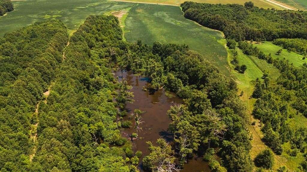 70 Acres of Land for Sale in Sledge, Mississippi