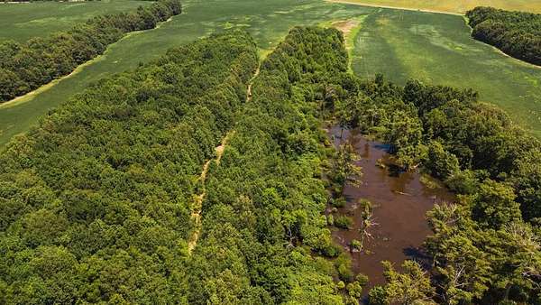 70 Acres of Land for Sale in Sledge, Mississippi