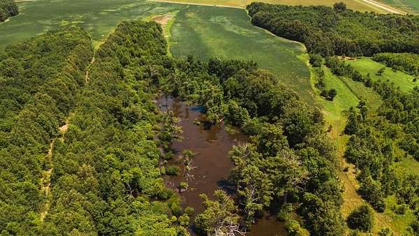70 Acres of Land for Sale in Sledge, Mississippi