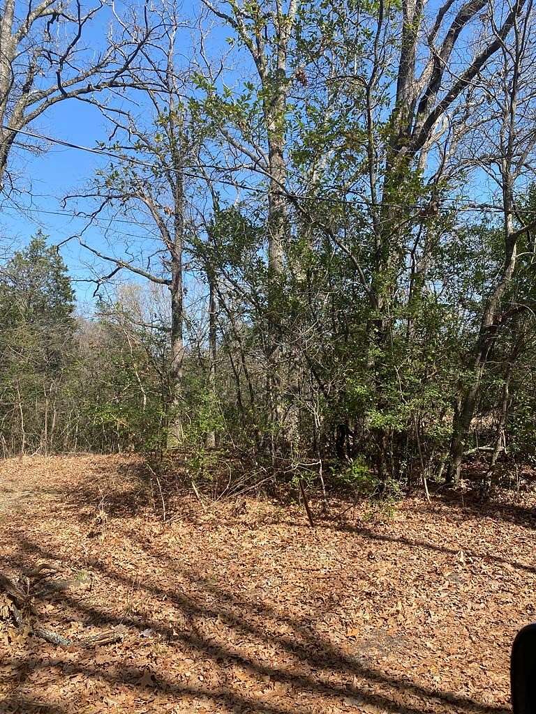 0.3 Acres of Land for Sale in Eustace, Texas