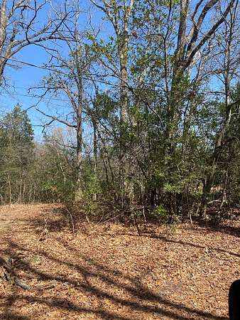 0.3 Acres of Land for Sale in Eustace, Texas