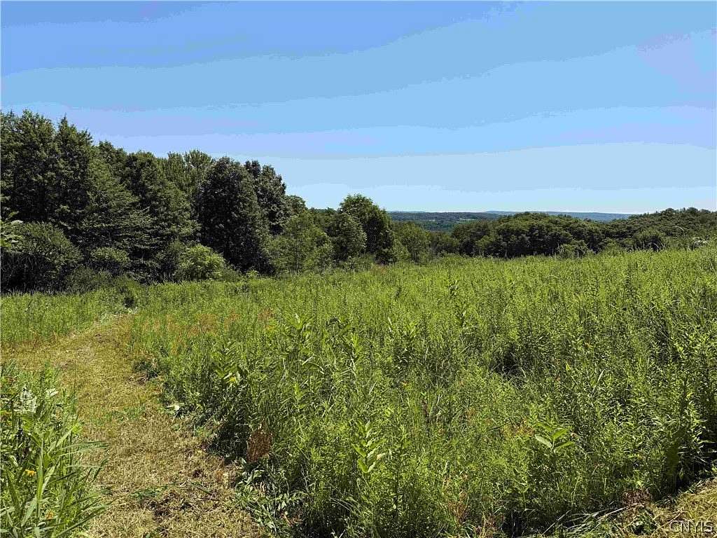 23 Acres of Recreational & Residential Land for Sale in South Dayton, New York