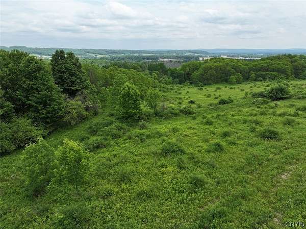 23 Acres of Recreational & Residential Land for Sale in South Dayton, New York